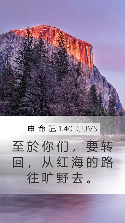 申 命 记 1:40 CUVS Bible Verse Image