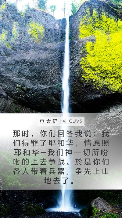 申 命 记 1:41 CUVS Bible Verse Image