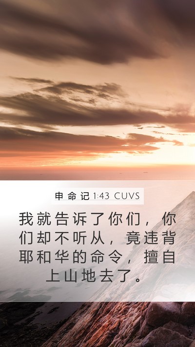 申 命 记 1:43 CUVS Bible Verse Image