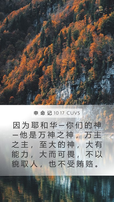 申 命 记 10:17 CUVS Bible Verse Image