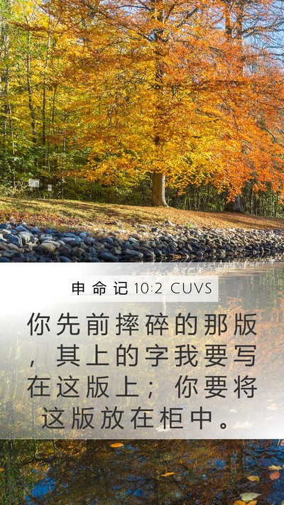 申 命 记 10:2 CUVS Mobile Phone Wallpaper - 你 先 前 摔 碎 的 那 版 ， 其 上 的 - Mobile Bible Verse Wallpaper