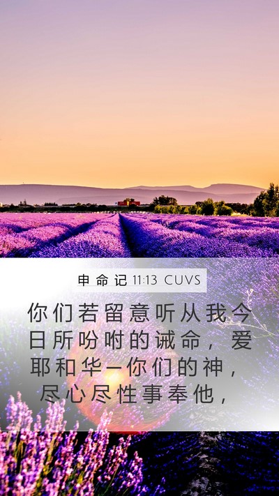 申 命 记 11:13 CUVS Bible Verse Image