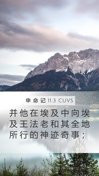 申 命 记 11:3 CUVS Mobile Phone Wallpaper - 并 他 在 埃 及 中 向 埃 及 王 法 老 - Mobile Bible Verse Wallpaper