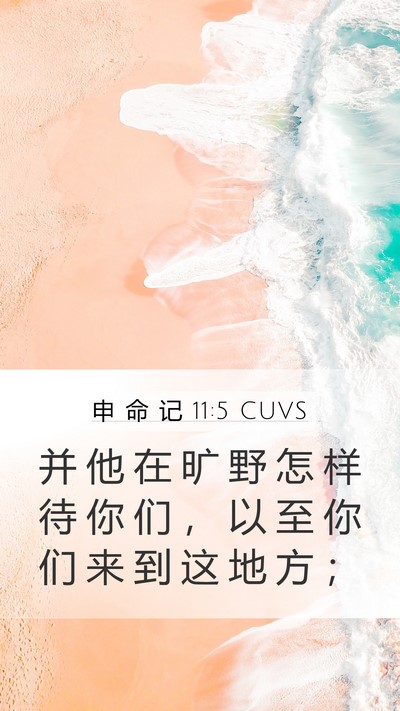 申 命 记 11:5 CUVS Mobile Phone Wallpaper - 并 他 在 旷 野 怎 样 待 你 们 ， 以 - Mobile Bible Verse Wallpaper