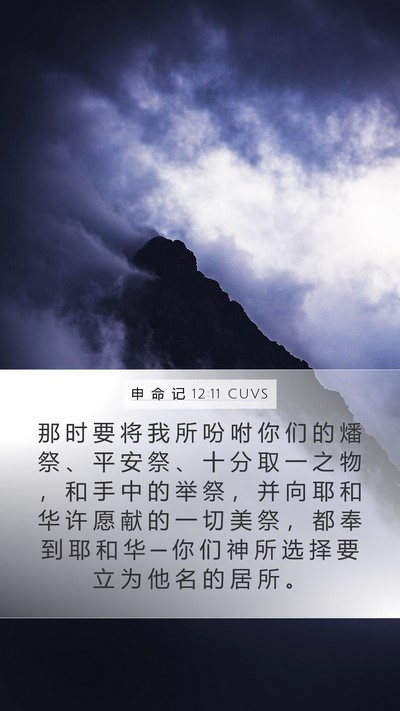 申 命 记 12:11 CUVS Bible Verse Image