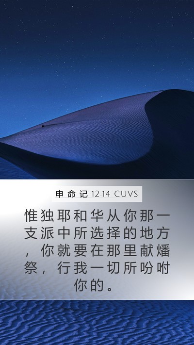 申 命 记 12:14 CUVS Bible Verse Image