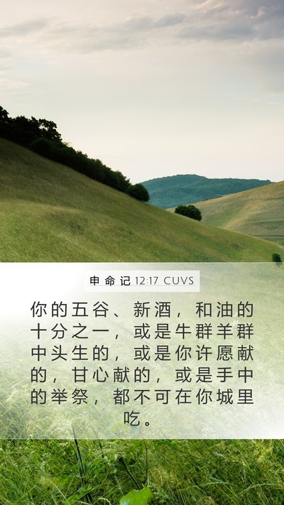 申 命 记 12:17 CUVS Bible Verse Image