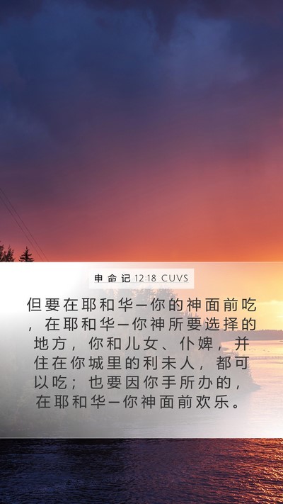 申 命 记 12:18 CUVS Bible Verse Image