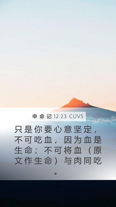 申 命 记 12:23 CUVS Bible Verse Image