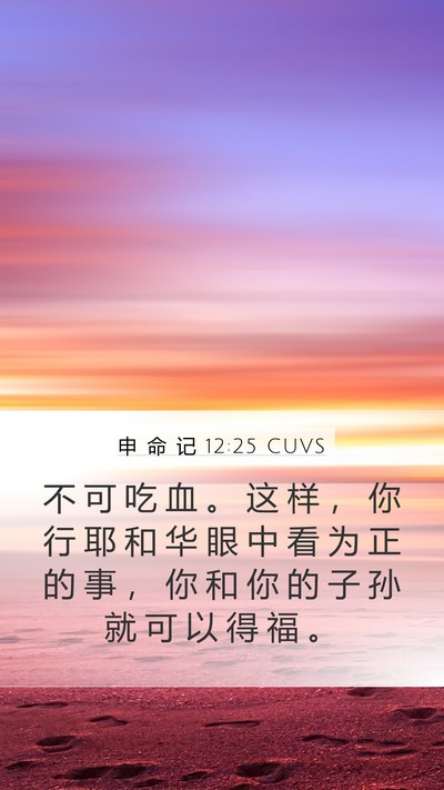 申 命 记 12:25 CUVS Bible Verse Image