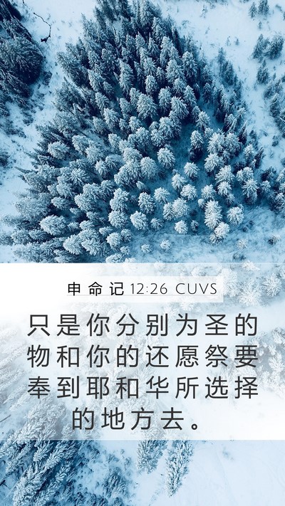 申 命 记 12:26 CUVS Bible Verse Image