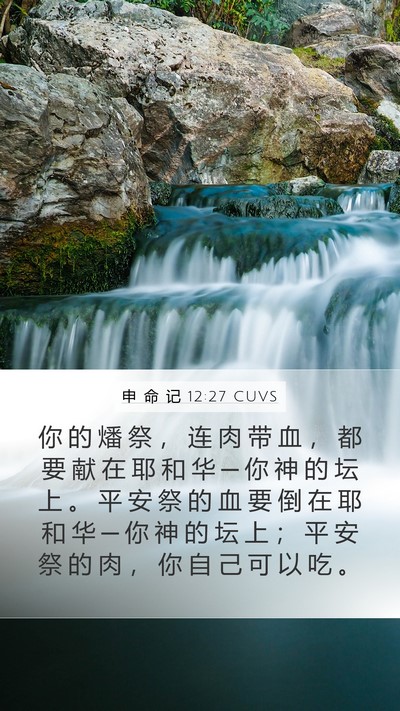 申 命 记 12:27 CUVS Bible Verse Image