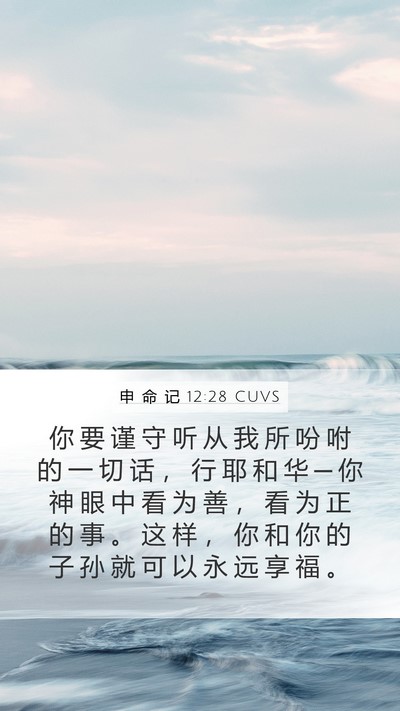 申 命 记 12:28 CUVS Bible Verse Image