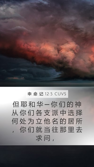 申 命 记 12:5 CUVS Bible Verse Image