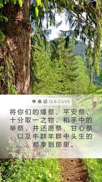 申 命 记 12:6 CUVS Bible Verse Image