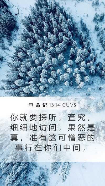 申 命 记 13:14 CUVS Bible Verse Image
