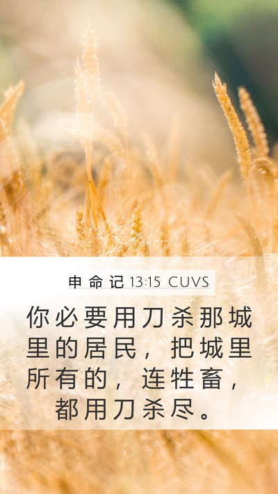 申 命 记 13:15 CUVS Bible Verse Image