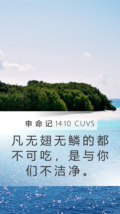 申 命 记 14:10 CUVS Mobile Phone Wallpaper - 凡 无 翅 无 鳞 的 都 不 可 吃 ， 是 - Mobile Bible Verse Wallpaper