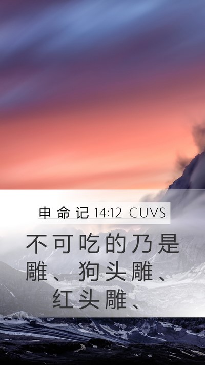 申 命 记 14:12 CUVS Mobile Phone Wallpaper - 不 可 吃 的 乃 是 雕 、 狗 头 雕 、 - Mobile Bible Verse Wallpaper