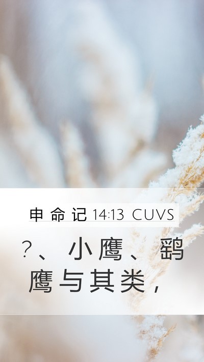 申 命 记 14:13 CUVS Mobile Phone Wallpaper - ? 、 小 鹰 、 鹞 鹰 与 其 类 - Mobile Bible Verse Wallpaper
