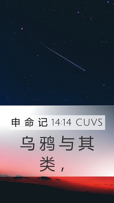 申 命 记 14:14 CUVS Mobile Phone Wallpaper - 乌 鸦 与 其 类 - Mobile Bible Verse Wallpaper