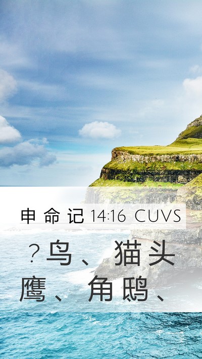 申 命 记 14:16 CUVS Mobile Phone Wallpaper - ? 鸟 、 猫 头 鹰 、 角 鸱 - Mobile Bible Verse Wallpaper