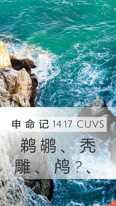 申 命 记 14:17 CUVS Mobile Phone Wallpaper - 鹈 鹕 、 秃 雕 、 鸬 ? - Mobile Bible Verse Wallpaper