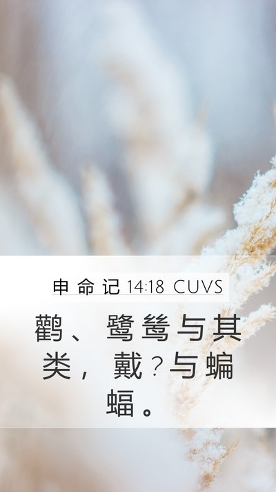 申 命 记 14:18 CUVS Mobile Phone Wallpaper - 鹳 、 鹭 鸶 与 其 类 ， 戴 ? 与 蝙 蝠 - Mobile Bible Verse Wallpaper