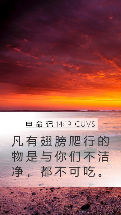 申 命 记 14:19 CUVS Mobile Phone Wallpaper - 凡 有 翅 膀 爬 行 的 物 是 与 你 们 - Mobile Bible Verse Wallpaper