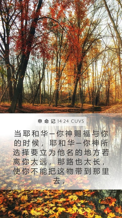 申 命 记 14:24 CUVS Bible Verse Image