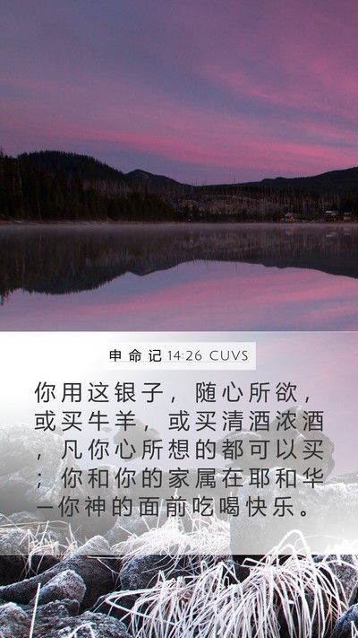 申 命 记 14:26 CUVS Mobile Phone Wallpaper - 你 用 这 银 子 ， 随 心 所 欲 ， 或 - Mobile Bible Verse Wallpaper