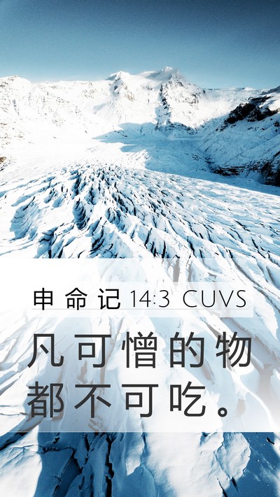 申 命 记 14:3 CUVS Bible Verse Image