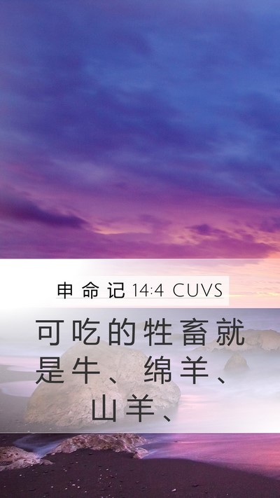 申 命 记 14:4 CUVS Mobile Phone Wallpaper - 可 吃 的 牲 畜 就 是 牛 、 绵 羊 、 - Mobile Bible Verse Wallpaper