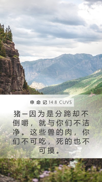申 命 记 14:8 CUVS Bible Verse Image