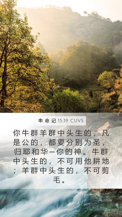 申 命 记 15:19 CUVS Bible Verse Image