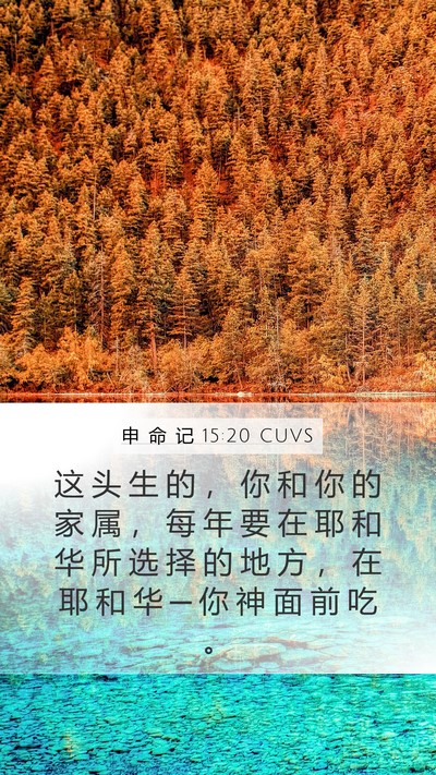 申 命 记 15:20 CUVS Bible Verse Image