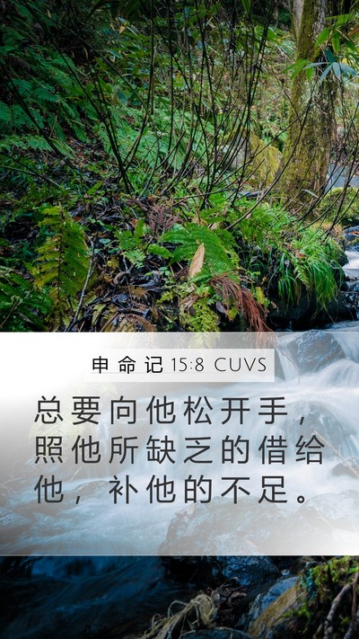 申 命 记 15:8 CUVS Bible Verse Image