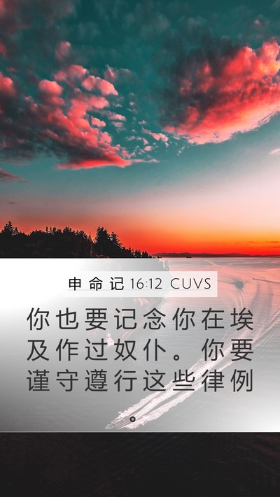 申 命 记 16:12 CUVS Bible Verse Image