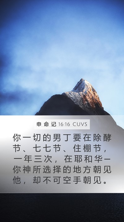申 命 记 16:16 CUVS Bible Verse Image