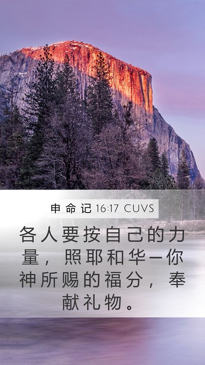 申 命 记 16:17 CUVS Mobile Phone Wallpaper - 各 人 要 按 自 己 的 力 量 ， 照 耶 - Mobile Bible Verse Wallpaper