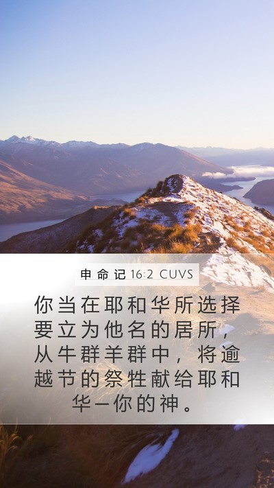 申 命 记 16:2 CUVS Bible Verse Image