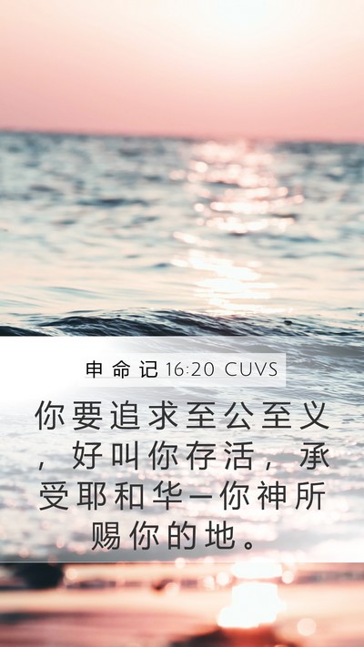 申 命 记 16:20 CUVS Mobile Phone Wallpaper - 你 要 追 求 至 公 至 义 ， 好 叫 你 - Mobile Bible Verse Wallpaper