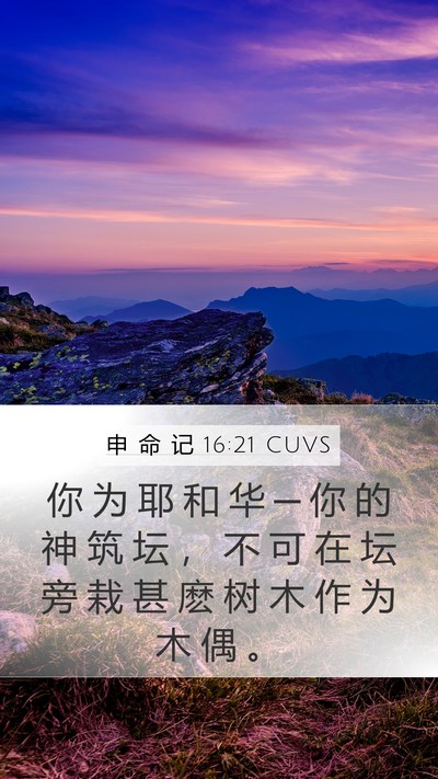 申 命 记 16:21 CUVS Bible Verse Image
