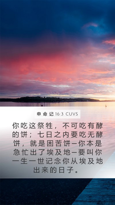 申 命 记 16:3 CUVS Bible Verse Image