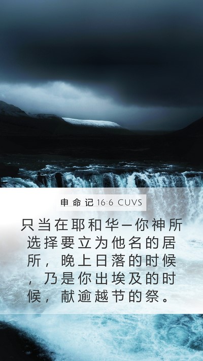申 命 记 16:6 CUVS Mobile Phone Wallpaper - 只 当 在 耶 和 华 ─ 你 神 所 选 择 - Mobile Bible Verse Wallpaper
