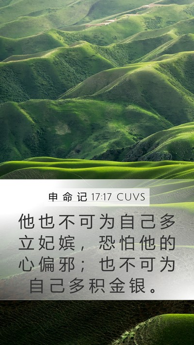 申 命 记 17:17 CUVS Bible Verse Image