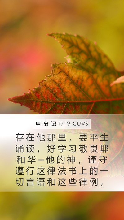 申 命 记 17:19 CUVS Bible Verse Image