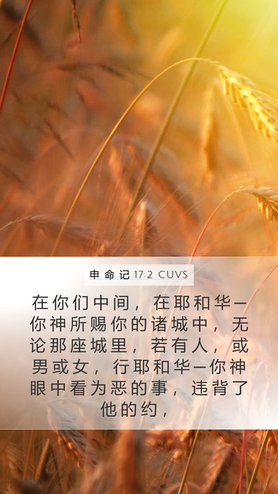 申 命 记 17:2 CUVS Bible Verse Image