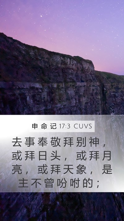 申 命 记 17:3 CUVS Bible Verse Image