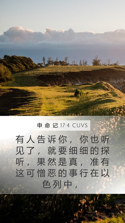 申 命 记 17:4 CUVS Mobile Phone Wallpaper - 有 人 告 诉 你 ， 你 也 听 见 了 ， - Mobile Bible Verse Wallpaper